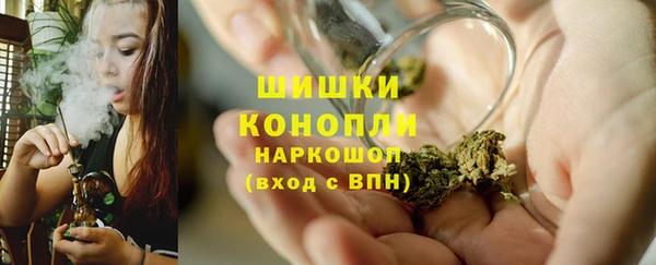 стафф Заводоуковск