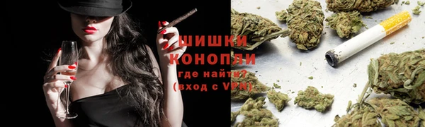 стафф Заводоуковск