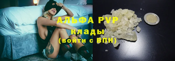 PSILOCYBIN Барнаул