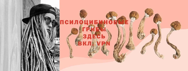 скорость Заволжье