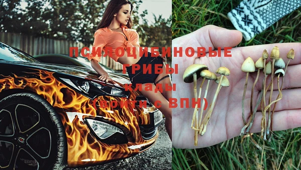 стафф Заводоуковск
