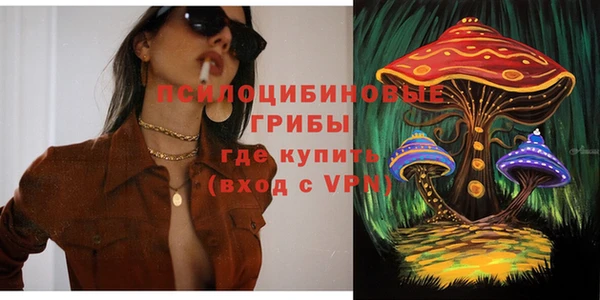 стафф Заводоуковск