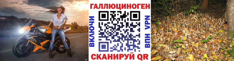 Купить закладки Никольское Псилоцибиновые грибы Psilocybine cubensis